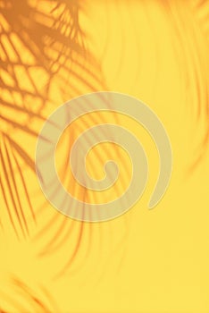 Shadows of tropical palm leaves on pastel yellow wall background. Summer banner with copy space