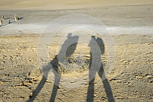 Shadows of two travellers photo