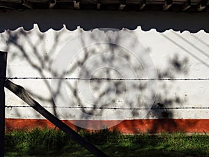 The shadows of the vegetation and the clay tile roof casted by the morning sun photo