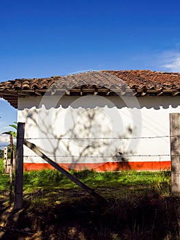 The shadows of the vegetation and the clay tile roof casted by the morning sun photo