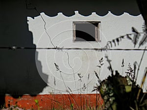 The shadows of the vegetation and the clay tile roof casted by the morning sun photo