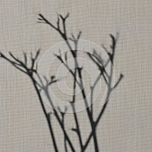 Create a delicate, intricate pattern against the backdrop, emphasizing