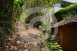 Shady countryside footpath in sunny summer afternoon