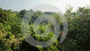 Shady hills filled with green trees in Cimahi