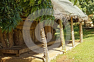 Shady meeting place, Tonga island photo