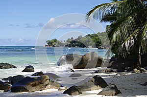 Shady place under Palm trees at Beau Vallon beach, Seychelles