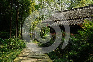 Shady planked path before Chinese old building in sunny autumn