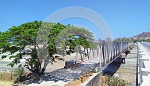 A shady tree combined with steel bridge in Manatuto, Timor-Leste. photo