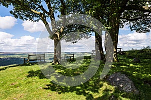 Shady trees with a bench and a view