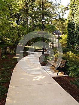 Shady walkway and park bench