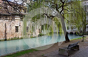 Shady Walkway in Treviso
