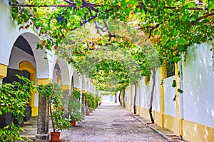 The shady yard of the winery, Jerez, Spain