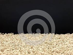 Shag Carpet