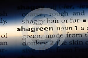 shagreen