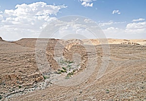 Shaharut dry stream in arava vally Judaean Desert, israel photo