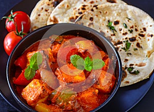 Shahi Paneer- Punjabi curry with roti