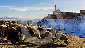 Ä°shak Pasha Palace