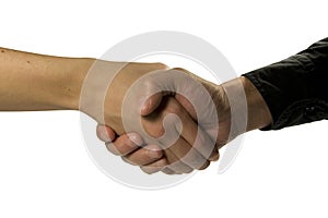 Shake Hands photo