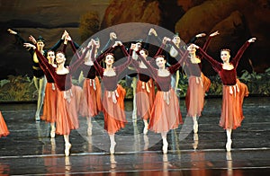 Shake handshandle dance-ballet Swan Lake