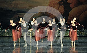 Shake handshandle dance-ballet Swan Lake