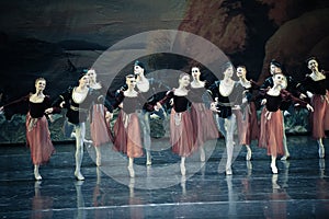 Shake handshandle dance-ballet Swan Lake