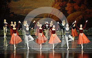 Shake handshandle dance-ballet Swan Lake