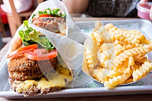 Shake Shack burger and Hand Cut Fries