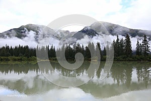 Shakes slough reflection