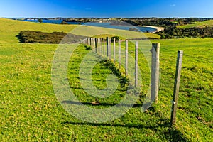 Shakespear Regional Park, Auckland Region, New Zealand