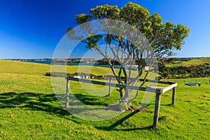 Shakespear Regional Park, Auckland Region, New Zealand