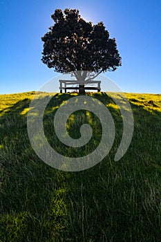 Shakespear Regional Park, Auckland Region, New Zealand