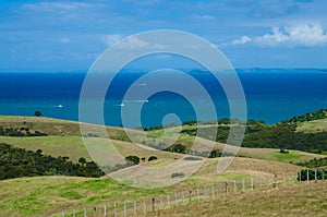 Shakespear Regional Park, Auckland Region, New Zealand