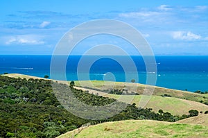 Shakespear Regional Park, Auckland Region, New Zealand