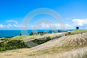 Shakespear Regional Park, Auckland Region, New Zealand