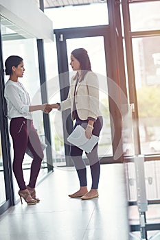 Shaking to exceptional work. two businesswomen shaking hands in an office.