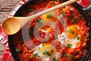 Shakshuka fried eggs macro in a frying pan. horizontal top view