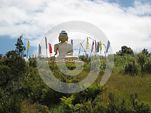 The Shakyamuni Buddha Statue of Karma Choeling monastery