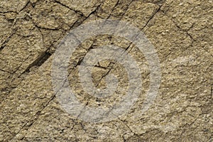 Shale massif texture with quartz inclusions