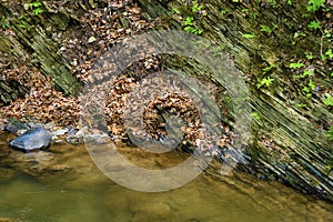 Shale Rock along a creek with dried leaves