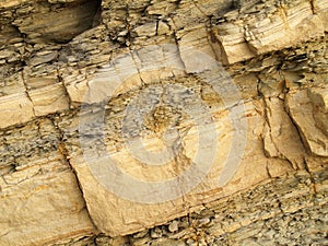 Shale rock texture photo