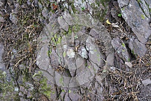 Shale rock on nature background. photo