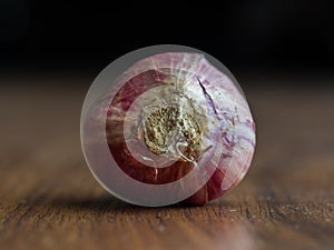 Shallot