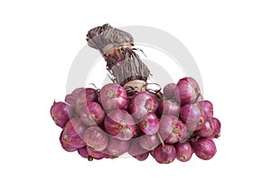 Shallot bundle isolated on white background.