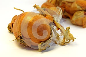 Shallot close-up 2
