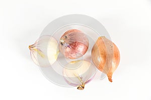 Shallot white background in studio