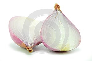 Salad shallot isolated