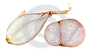 Shallot onion bulb cut in half inside cross and longitudinal section isolated on white