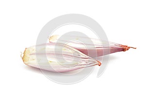 Shallot onions on a white background