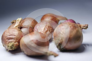 Shallot on red background with shadow