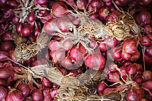 Shallot red onion